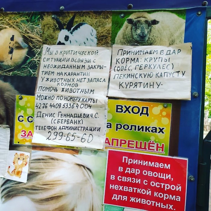    !!!  , SOS, 