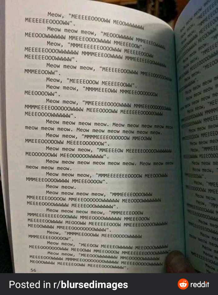 ����� ����� ������ ��� �������