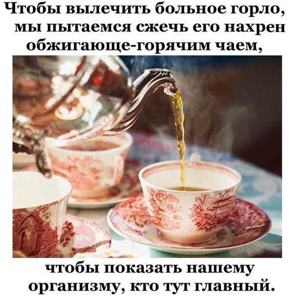 Tea is the best medicine - Tea, Treatment, Organism, Traditions