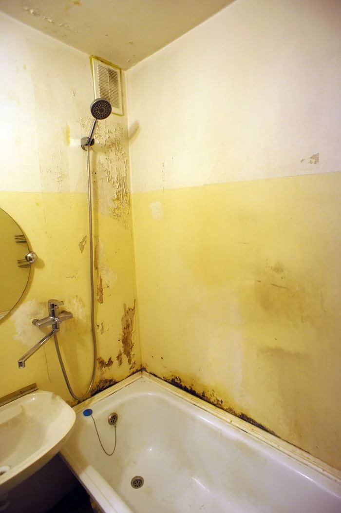 Bathroom renovation, super-economy option (crisis, post-Covid) - My, Bathroom renovation, Krasnoyarsk, Courage and not dementia, Longpost