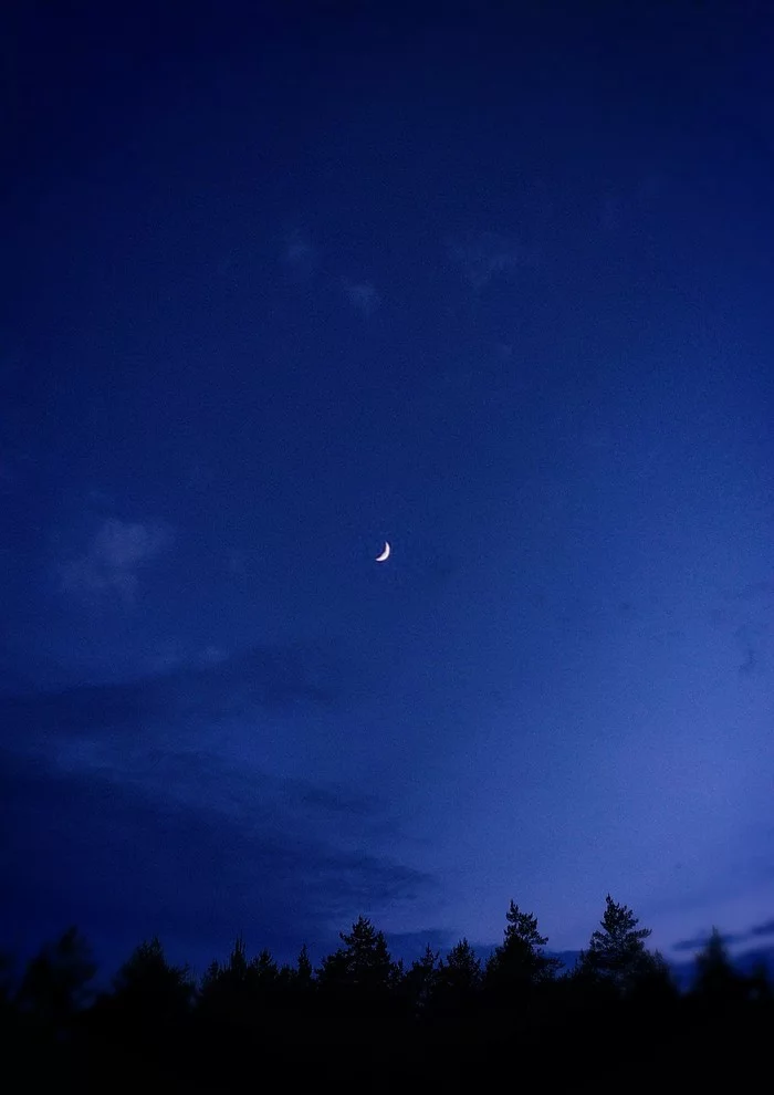 Reminds me a little of Dikanka - My, Forest, Sky, moon, The photo, beauty