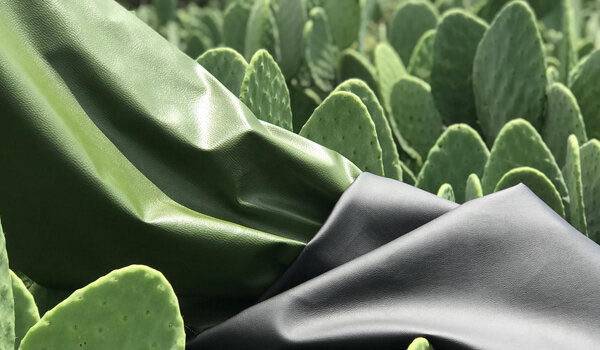 Cactus as an alternative to genuine leather - Cactus, Entrepreneurship, Longpost, Leatherette, Leather, Eco-leather