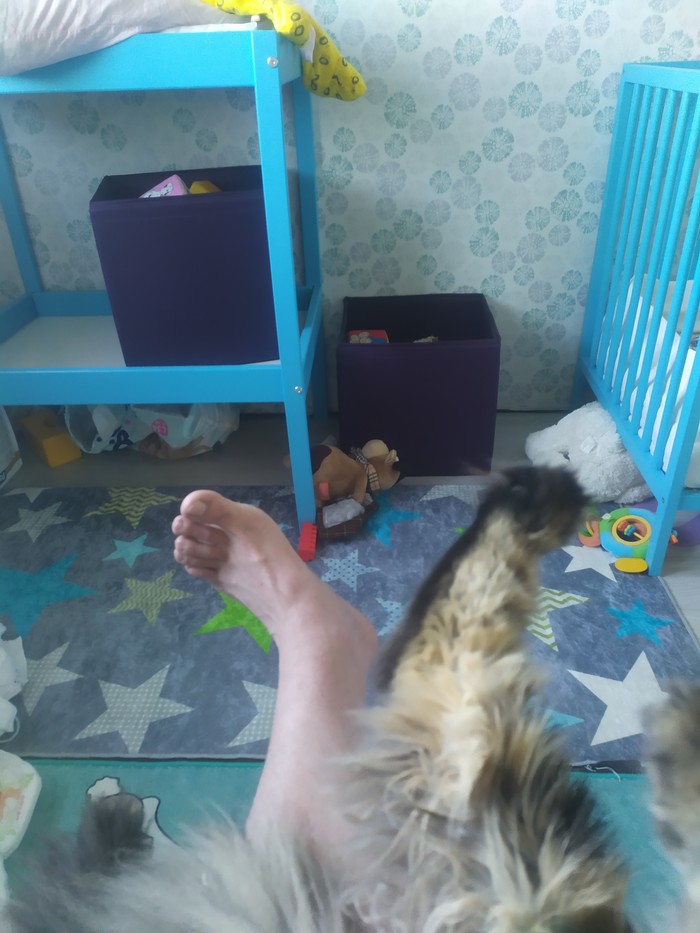 ������� ����� ���� ����