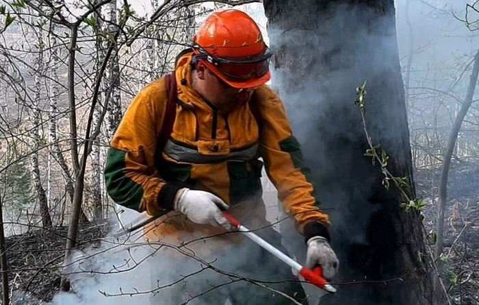 During the week from May 25 to May 31, forest fire forces and involved persons extinguished more than 360 forest fires in 37 regions of Russia - My, Forest, Forest fires, Russia, Fallen Grass, Not lit, Is burning, Animals, Wild animals