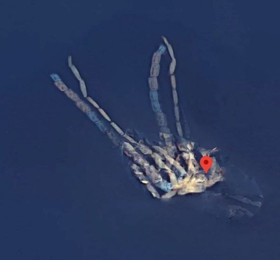 giant octopus - Octopus, Google maps, Monster, Lake, America