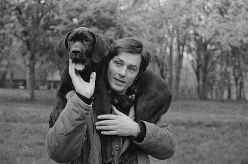 Not just a person, but a HUMANITY! - Dog, Love, Milota, Alain Delon, Longpost, Celebrities, Actors and actresses