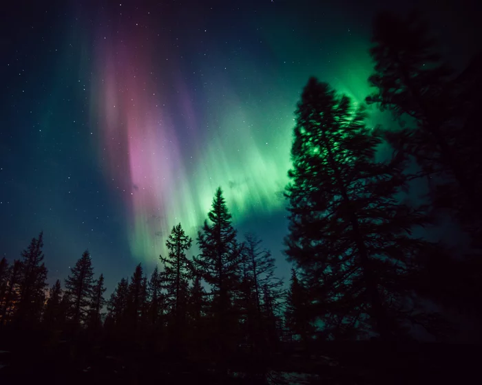 Watercolor jets on dark canvas - My, Yamal, Siberia, Tundra, New Urengoy, Polar Lights, Russia, Landscape, Longpost