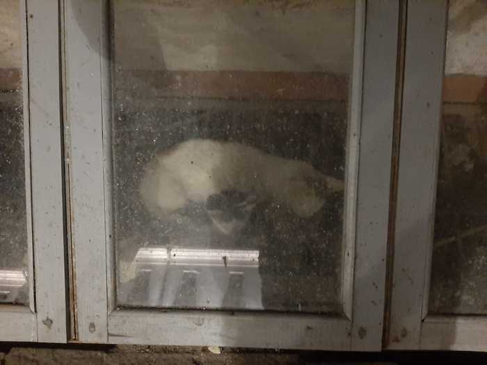 ,    , , , -, ,   ,  
