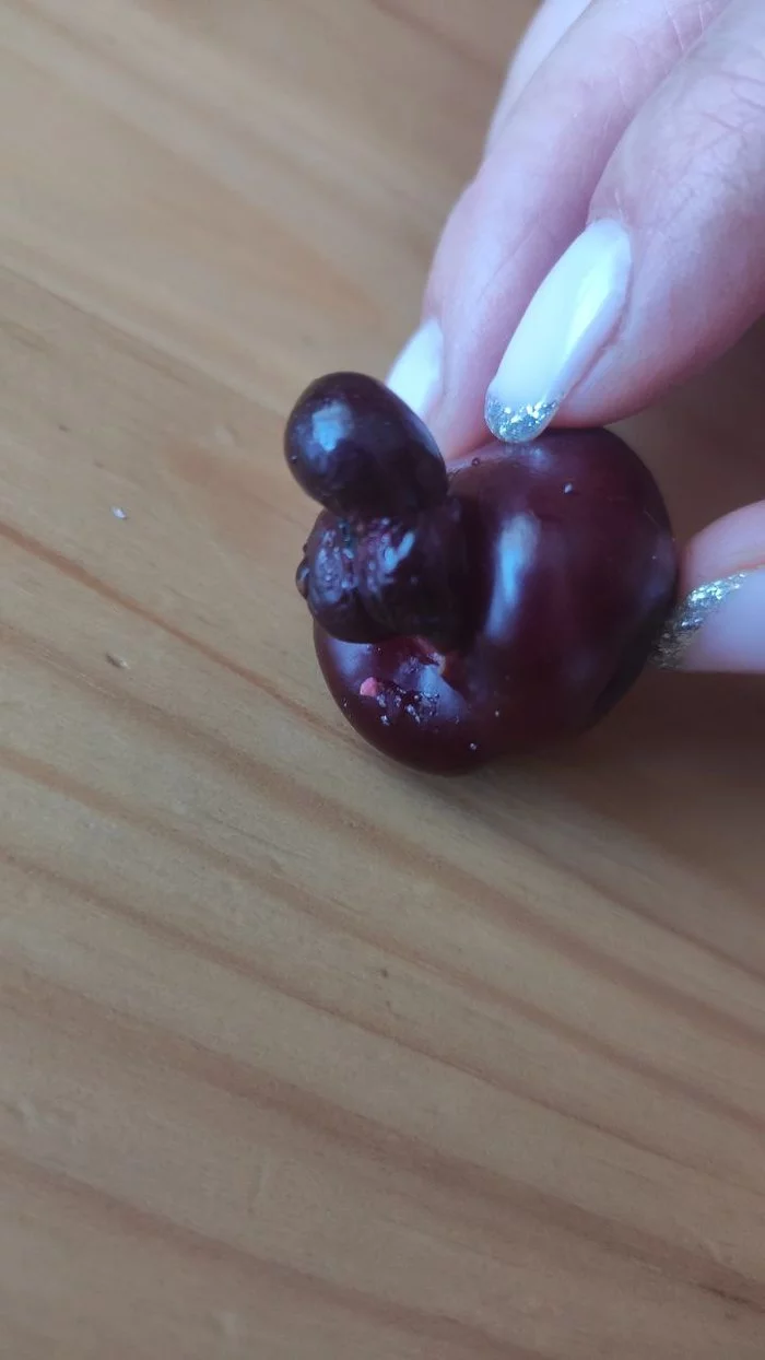 Cherries - My, Cherries, Genitals