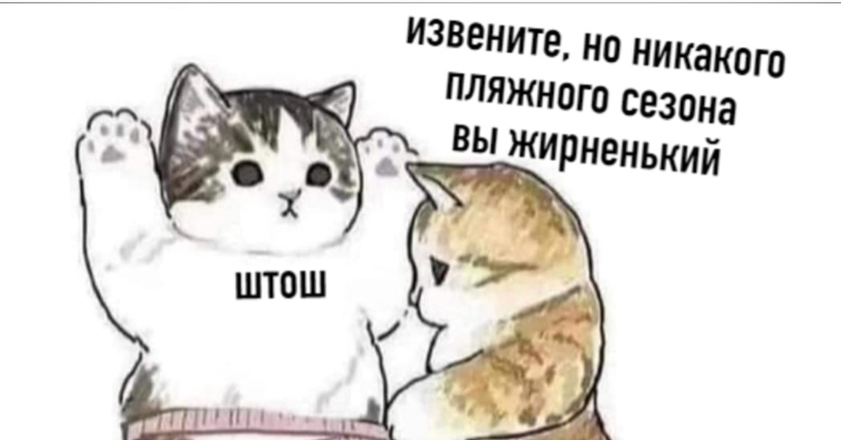 Картинка штош с котом