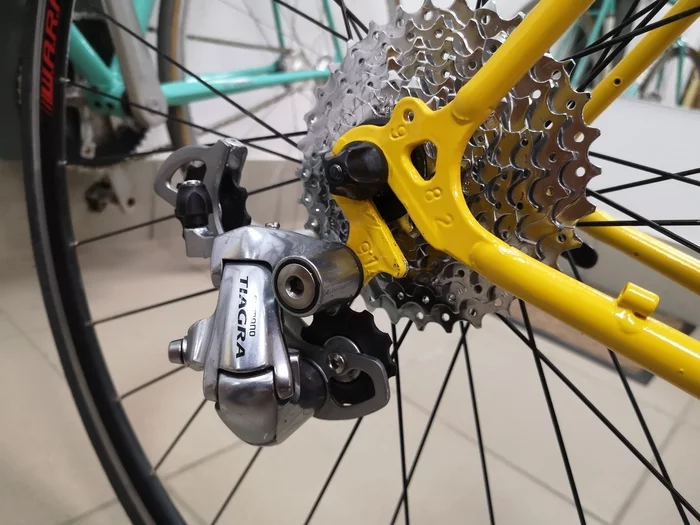 Crocodile farming - My, A bike, KhVZ, Longpost