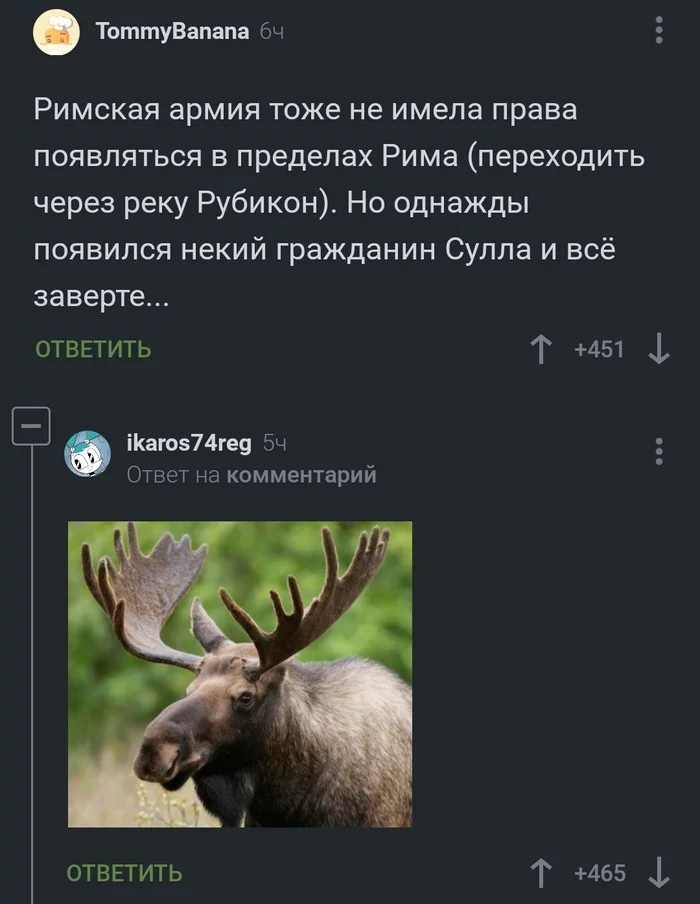 Pun - Pun, Elk, Comments on Peekaboo, Picture with text, Screenshot