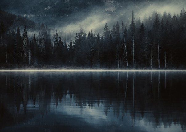 ������� ���������� �����������