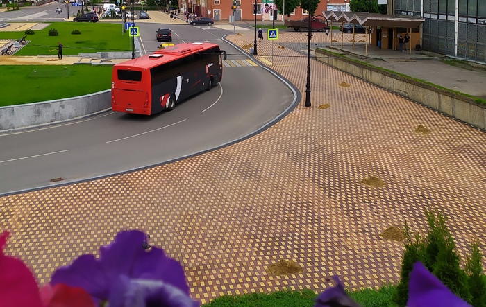 Грозовые кроты...