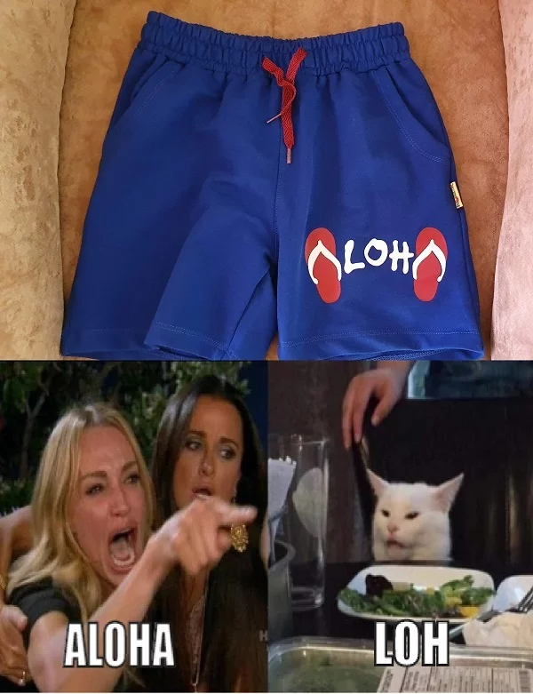 My wife bought shorts for my son, but there wasn’t much of an argument with her. - My, Memes, Shorts, aloha, Two women yell at the cat