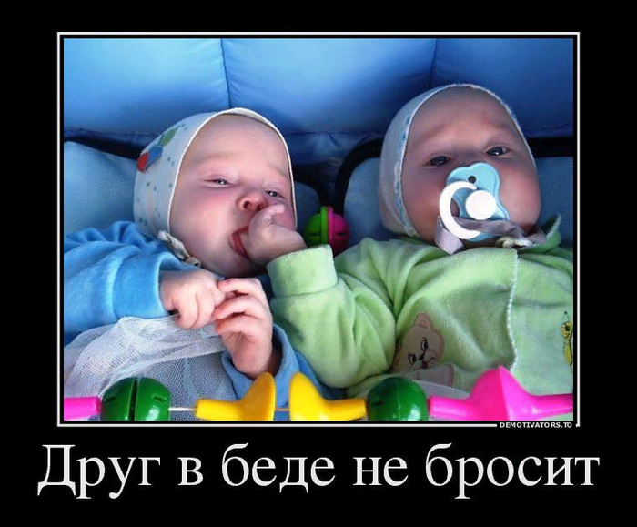 Друг — это одна душа, живущая в двух телах.Аристотель