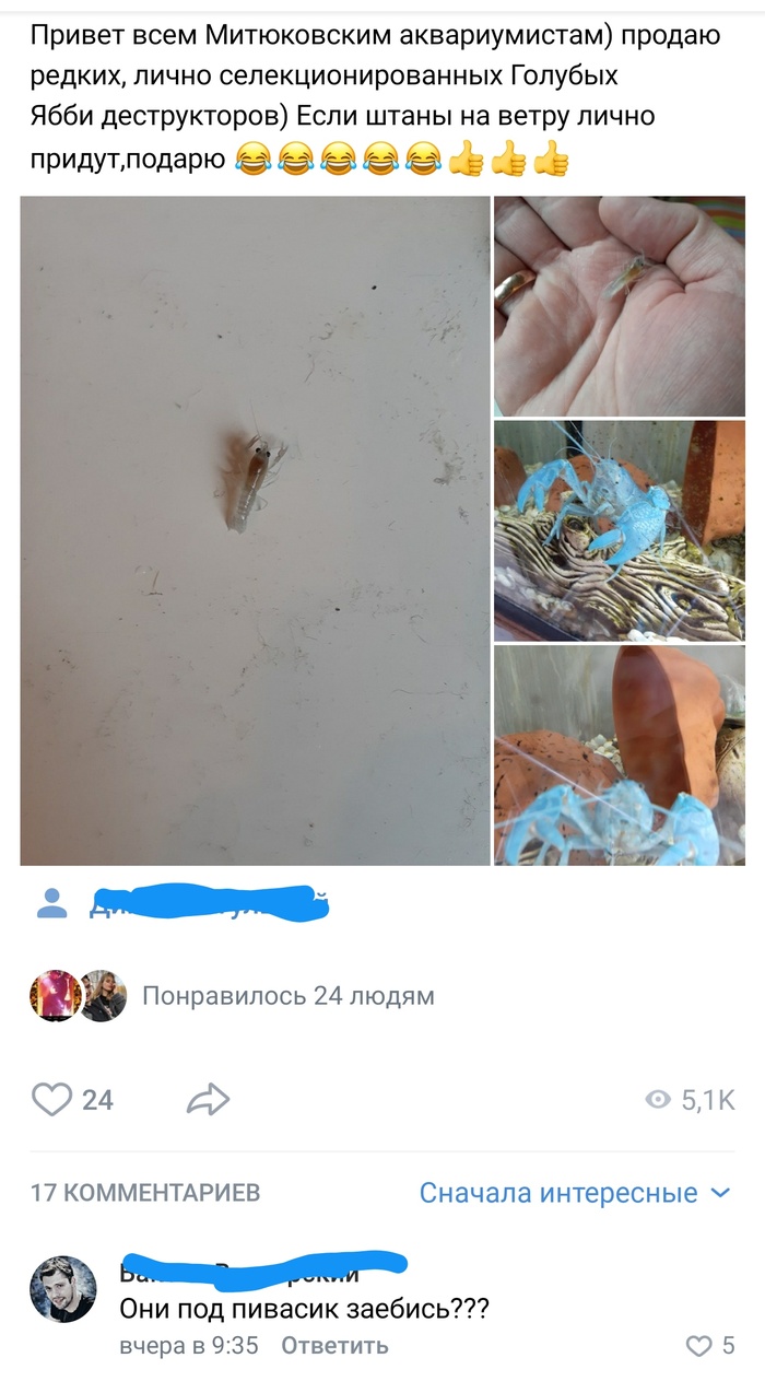 �����������)