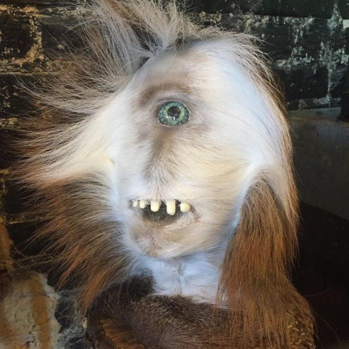 How crazy taxidermists create yetis from deer butts - Taxidermy, Scarecrow, Longpost