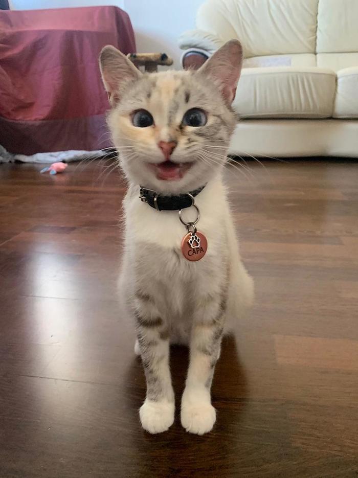 Это что мне?