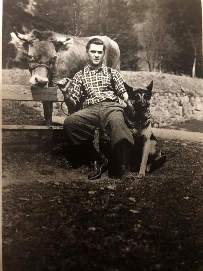 1949 - Germans, After the war, Black and white photo, Germany, Bavaria, Men, Dog, Cow