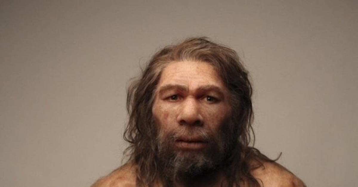 Homo neanderthalensis. Неандерталец (homo Neanderthalensis). Неандерталец (homo Neanderthalensis) череп. Неандерталец в полный рост. Волосяной Покров неандертальцев.