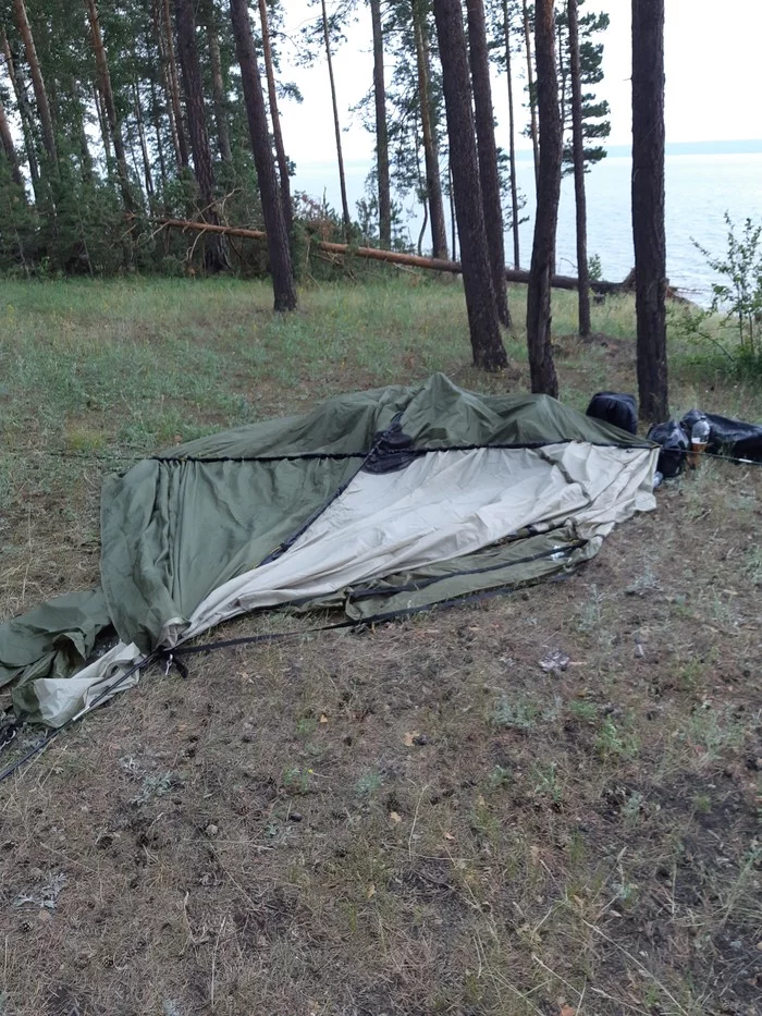 Friends! I call on the power of peekaboo! - Tent, Relaxation, Nature