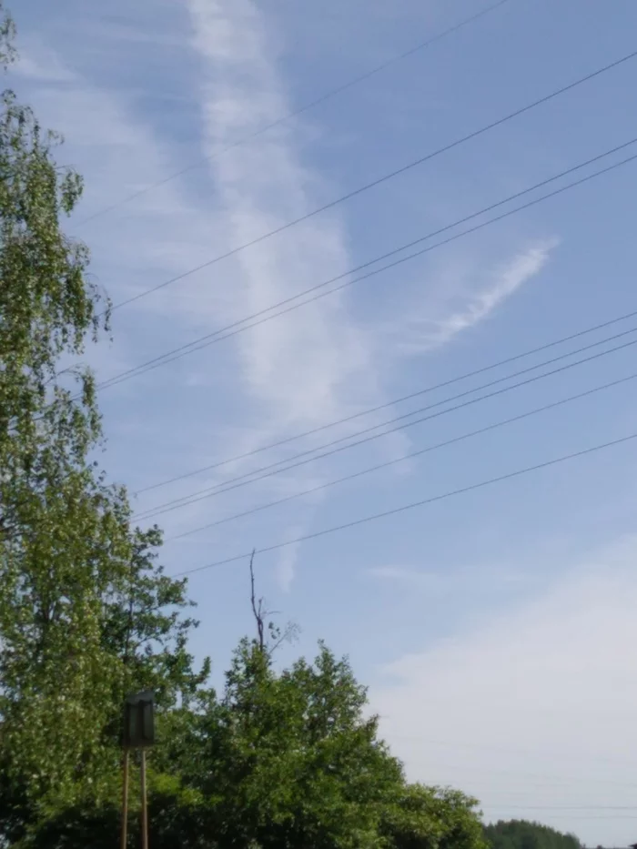 Eagle - My, Eagle, Clouds, Associations