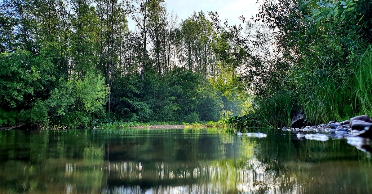 Река бабка пермский край