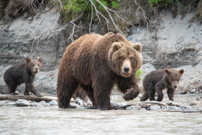 С мамой на рыбалку...