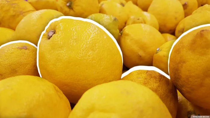 Lemons as an indicator of the level of coronavirus hysteria - photo study - Coronavirus, Hysteria, Lemon, Quarantine, Prices, Longpost