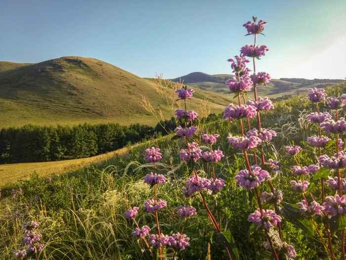 Southern Urals - My, Nature, Southern Urals, Sibay, The photo, The mountains