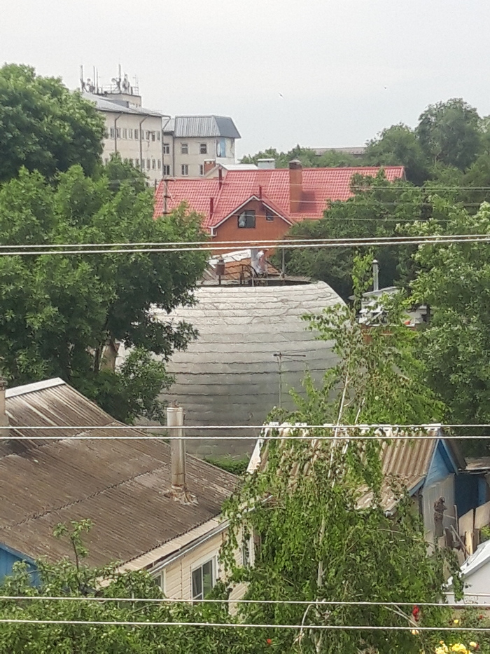 Кто знает что это такое?