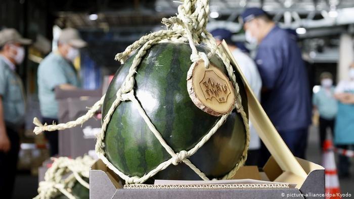 How much cheaper!? - Japan, Watermelon, Melon, Price-cutting, Humor