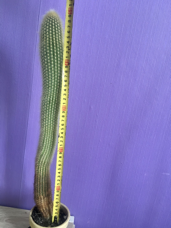 ����� �� ���� ������� �����������