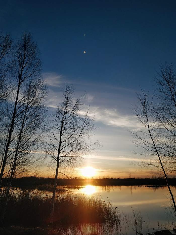 Nature against sunset background - My, Water, Nature, beauty, Relaxation, Tree, The sun, Sunset