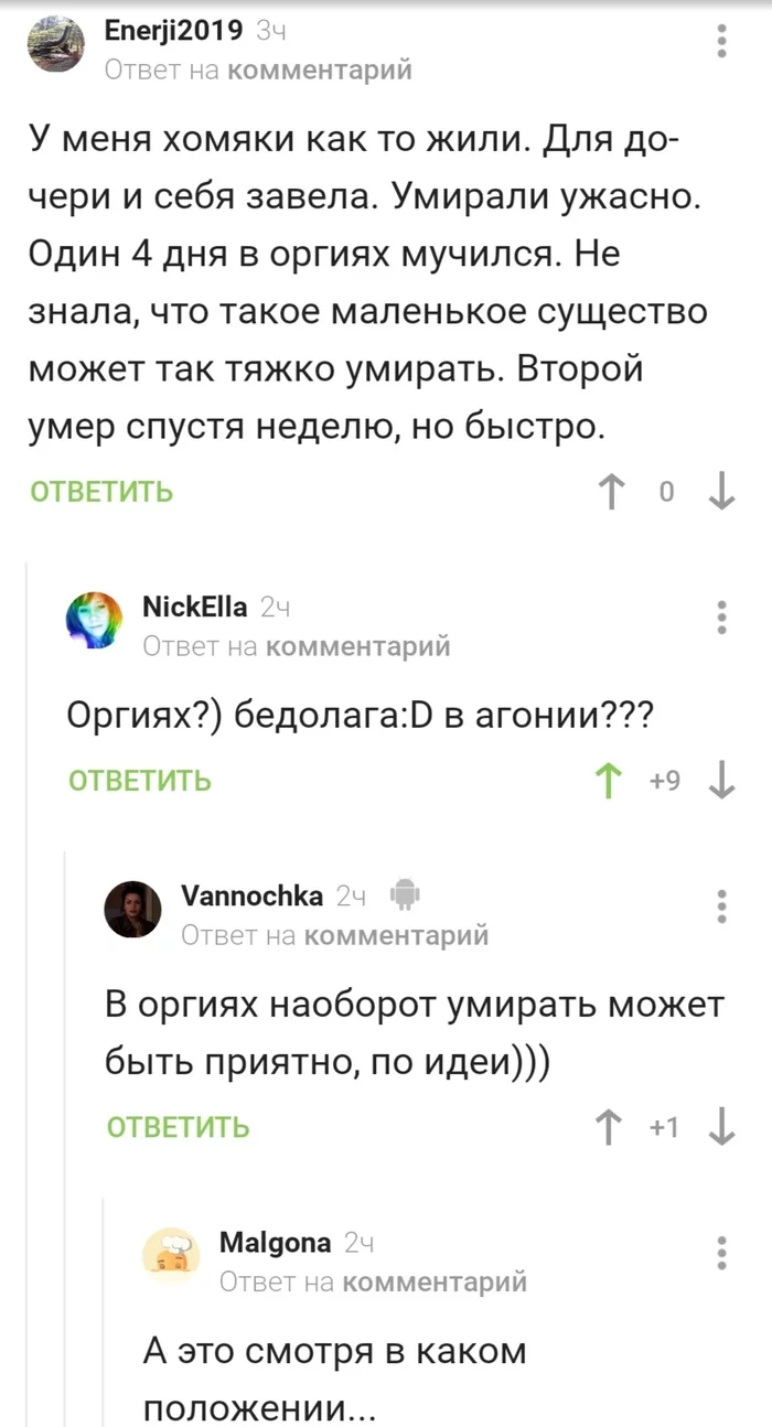 На секунду стало завидно - Хомяк, Домашние животные, Оргия, Скриншот, Комментарии на Пикабу