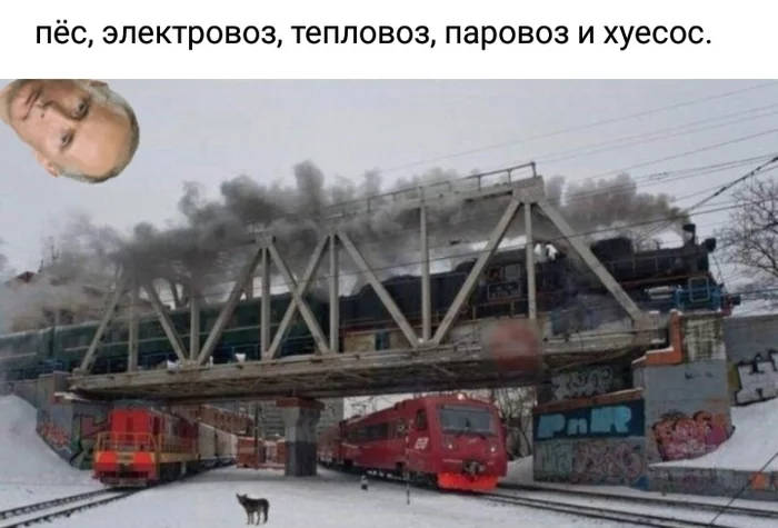 A dog, an electric locomotive, a diesel locomotive, a steam locomotive and... - The photo, Interesting, Railway, Electric locomotive, Locomotive, Locomotive, Dog, Vladimir Putin