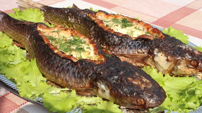 Pelengas on coals - My, Fish on coals, Recipe, Video recipe, Video, Cooking