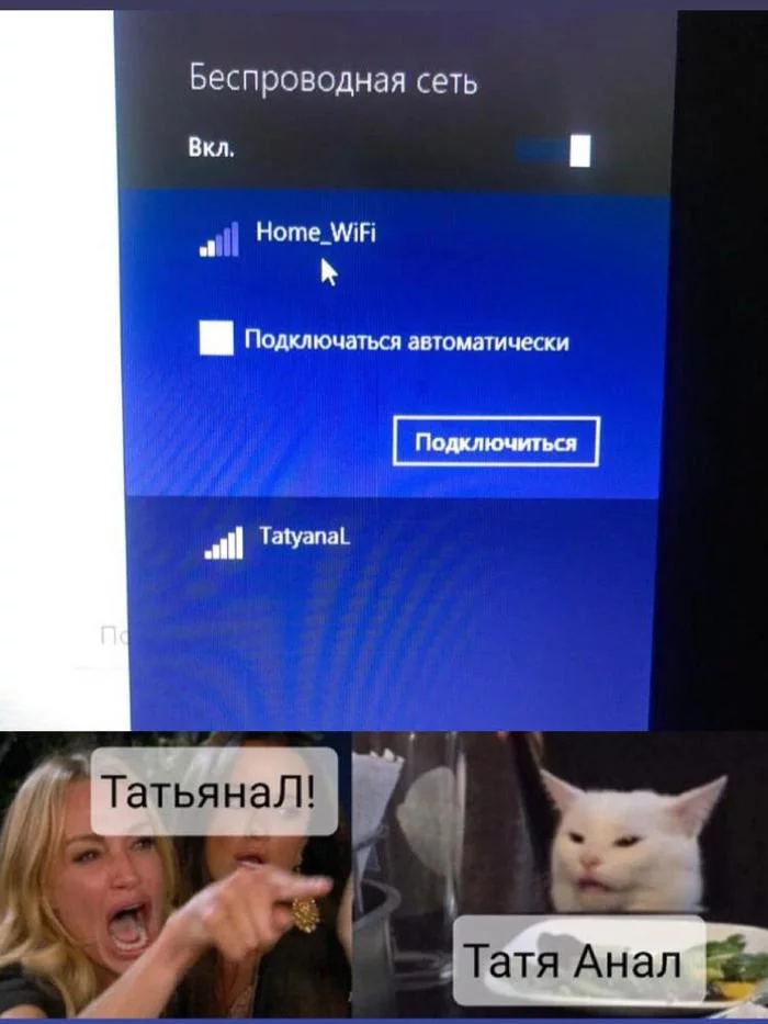 When the name of the neighbors' WI-FI... - My, Two women yell at the cat, Wi-Fi, Neighbours, Name