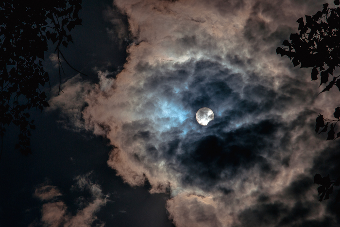     , , Nikon d3100