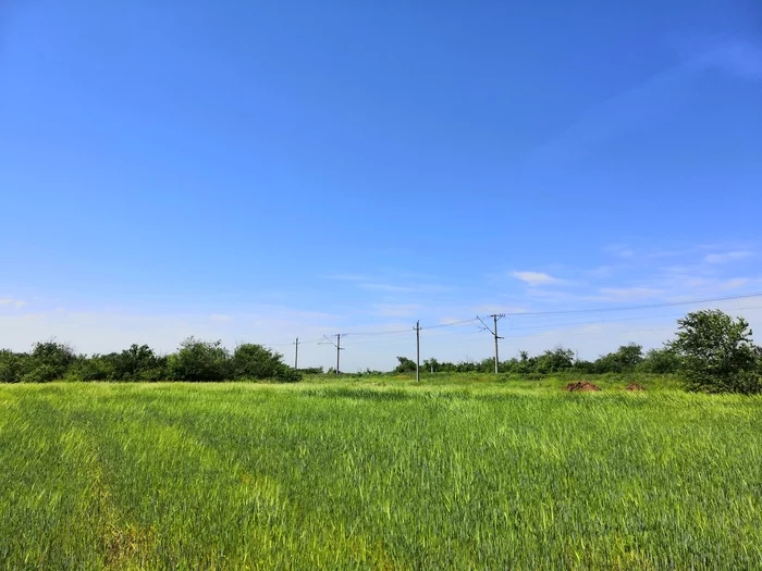 So much sky - My, Mobile photography, Field, The nature of Russia, Contact network