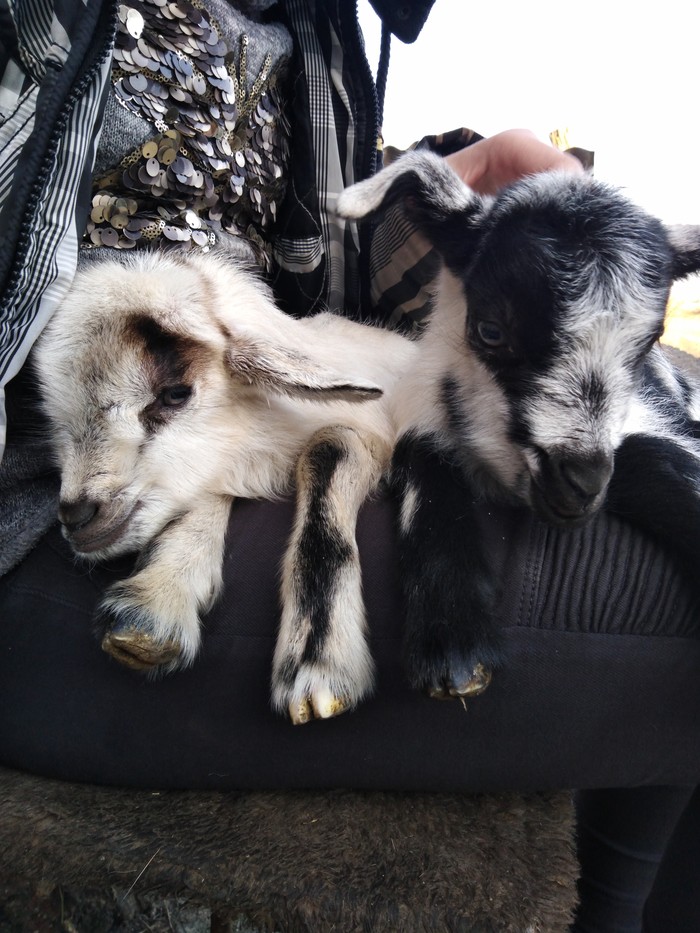 �������� "�����������������"