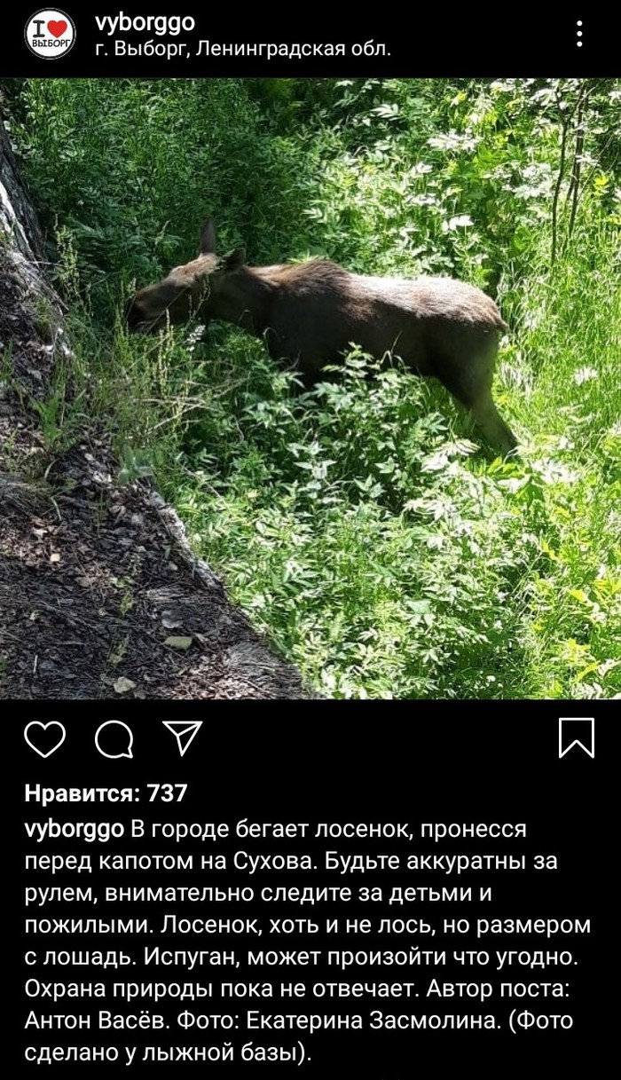 ���� � �������