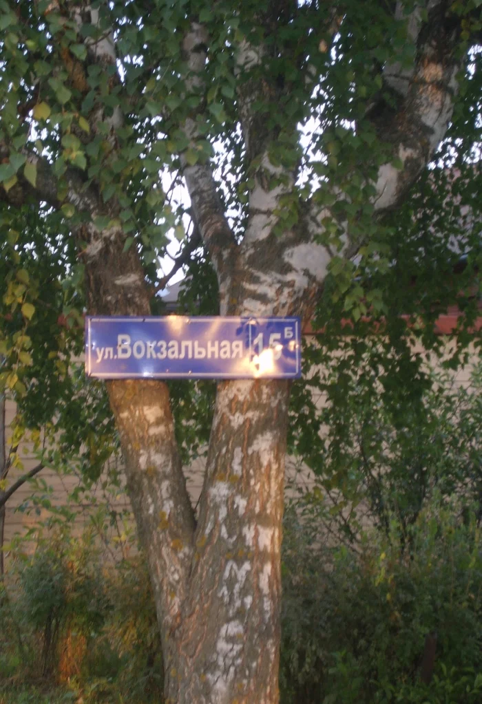 Cheburashka and a peculiar living space - My, The photo, Cheburashka, Longpost