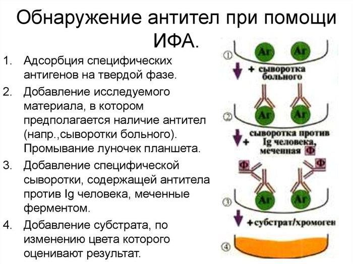 врач кдл что делает. Смотреть фото врач кдл что делает. Смотреть картинку врач кдл что делает. Картинка про врач кдл что делает. Фото врач кдл что делает