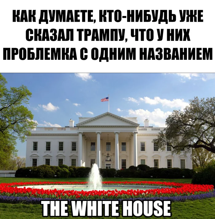 В свете последних событий в США - Моё, Белый дом, Расизм, Black lives matter, White House