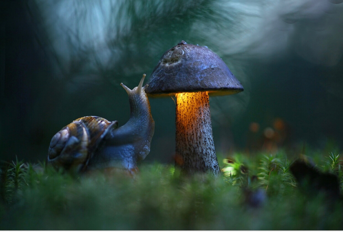 Тайна Валикора. Глава 5