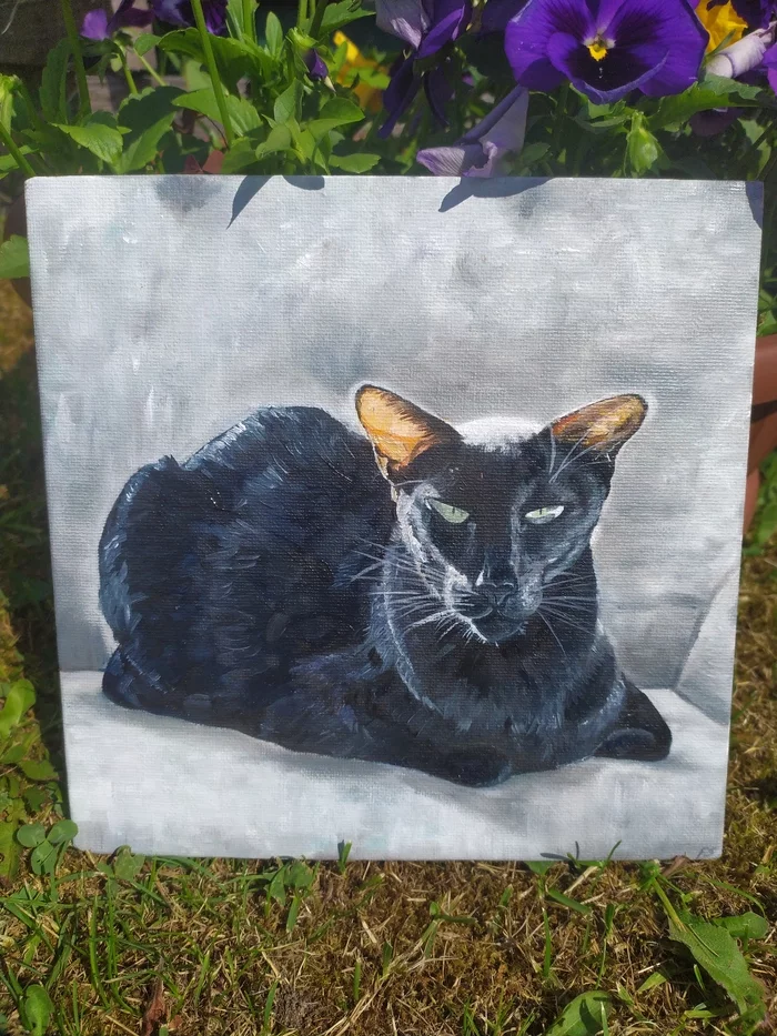 Ollie Black Mamba - My, Oil painting, Painting, cat, Oriental cats