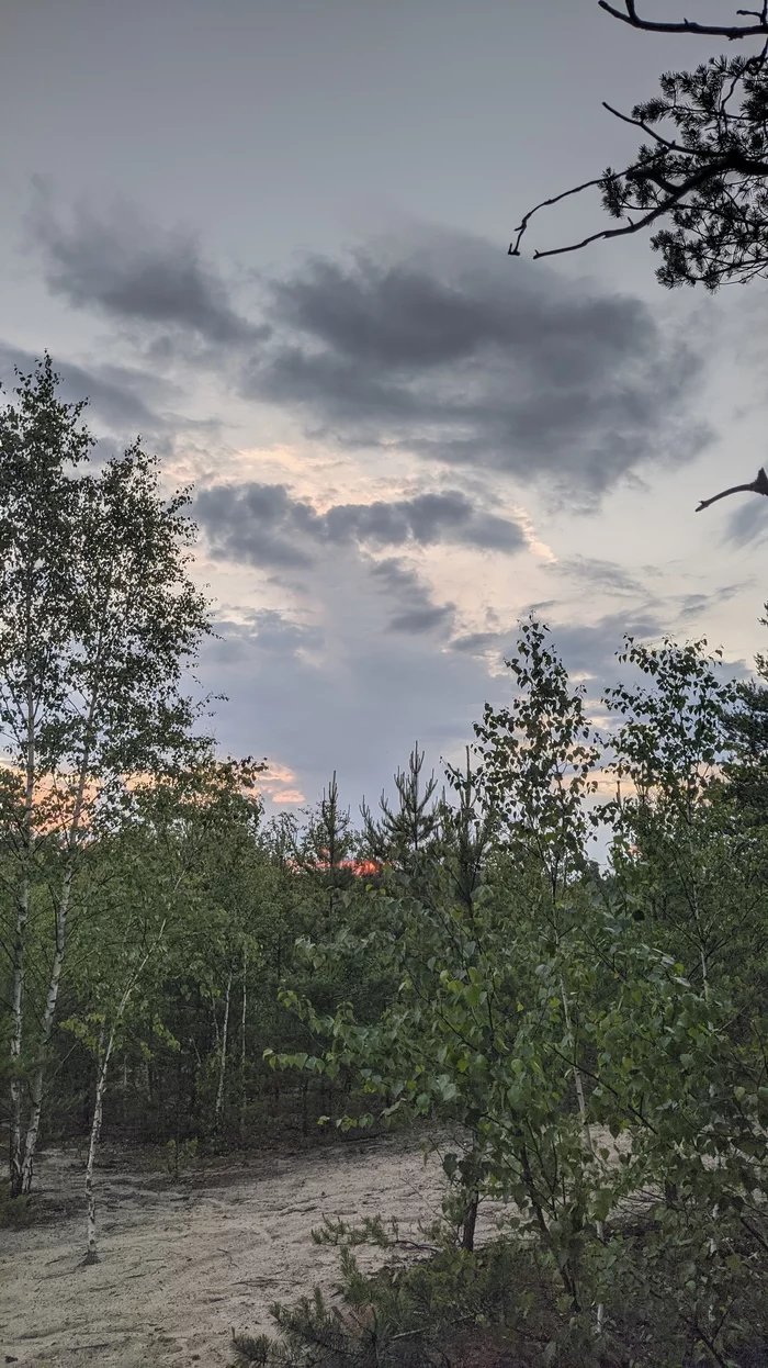 A walk through the suburbs of Warsaw from dusk to dawn - My, Warsaw, Sunrises and sunsets, Longpost