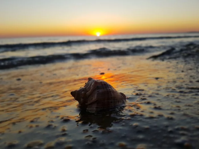 Sunset - My, Black Sea, Beach